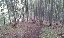 stúpanie na Samostrel stúpanie na Samostrel